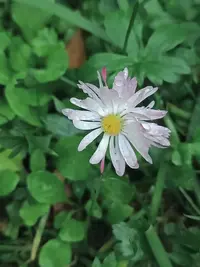 20260918181643.webp
