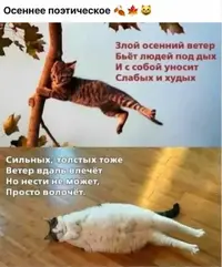Screenshot_2026-09-20-09-28-54-89_f9ee0578fe1cc94de7482bd41accb329.webp