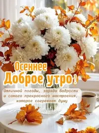 SaveClip.App_814575211_18458011921189306_4171937225309916390_n_640.webp
