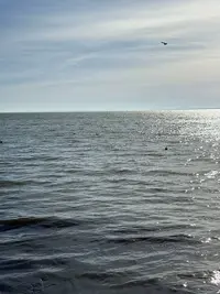 imgonline-com-ua-Resize-kX3Sj1aZhCXwnqK.webp