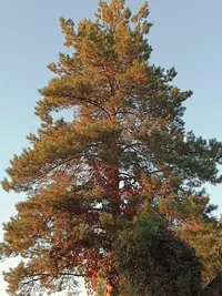20260919180150.webp