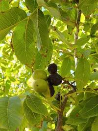 IMG_20260908_143532.webp