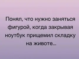 3173.webp