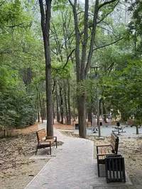 result_1000033275.webp