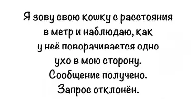 3203.webp