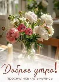 6_161627_512.webp