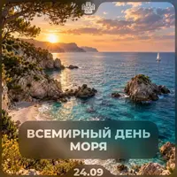 6E6DD548-6C71-453A-BBCD-887FBB7C9DAE.webp