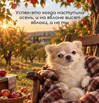 IMG_0351.webp