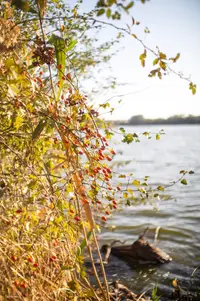 IMG_1250.webp