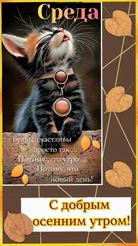 920_180644_826.webp