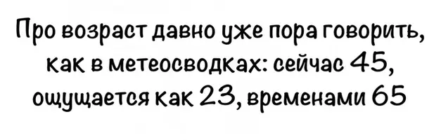 3251.webp