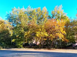 1000039703.webp