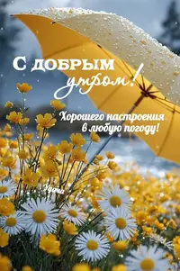 8_072758_915.webp