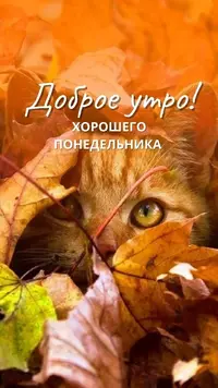 28_093639_542.webp