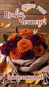 02_142848_710.webp