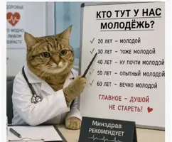55997.webp