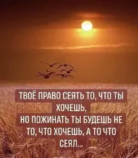 3471.webp