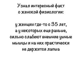 3278.webp