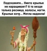3496.webp