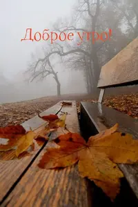 fe04d6f449fa03576f5c9fb575d33978.webp