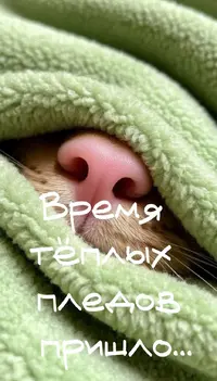 587c28f3bdfeb25491d3ea7fa2f0e5c1.webp