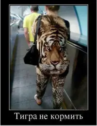 Screenshot_2026-10-13-22-25-39-44_f9ee0578fe1cc94de7482bd41accb329.webp