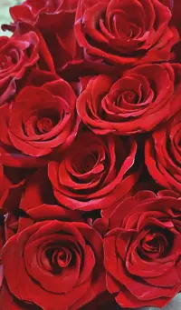 20261014-161422.webp