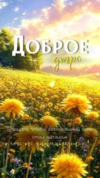 918_070827_269.webp