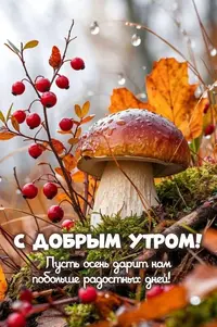 0_170140_462.webp