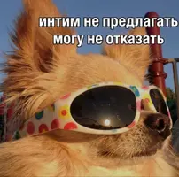 IMG_20261016_123759_572.webp