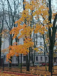20261015093927.webp