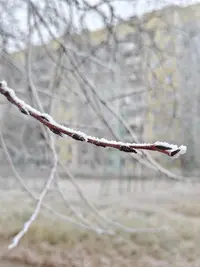 3546.webp