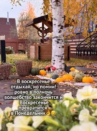 SaveClip.App_845844721_18340418194256324_6601187656373973029_n_640.webp