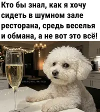 IMG_0506.webp