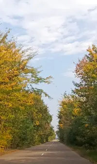 20261019-132520.webp