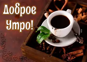 14947.webp