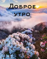 0b2edcf05b19fd3e59e5824f8d2581b8.webp