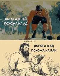 fea7963d289f86d901114e07339b8b52.webp