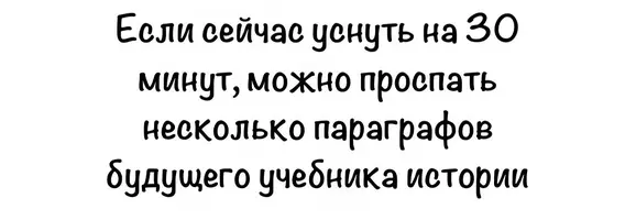 3566.webp