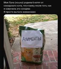 IMG_0716.webp