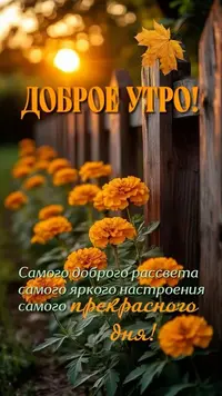 02_094649_768.webp