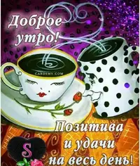 SaveClip.App_848685379_18445154110198278_3495632501434611377_n_640.jpg.webp