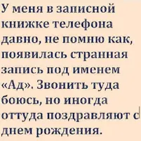 3510.webp