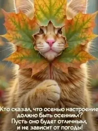 SaveClip.App_864452061_18445953229198278_1530278019066763172_n_640.jpg.webp