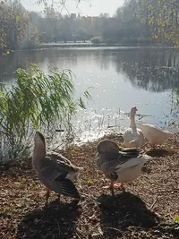 20261025133140.webp