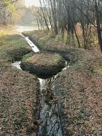 20261025140237.webp