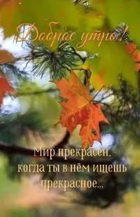 02_101225_425.webp