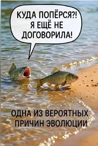 3615.webp
