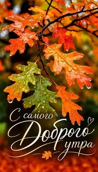 0dfa0c86211429bce03a0ce1062125b0.webp