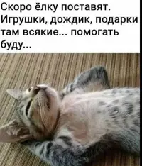3560.webp